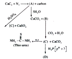 The compound 'C' is used to make urea and Thio urea.