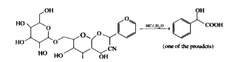 Amygdalin, a compound isolated from the pits of apricots, peaches and wild cherries. Although it has no known therapeutic value, it has been used as unsanctioned anticancer drug. One hydrolysis product formed from Amygdalin is mandelic acid used in common skin problems.      Pure (R)-mandelic acid has specific rotation of -154 and sample contains 60% of (R) isomer and 40 % of its enantiomer. [alpha] of mixture is