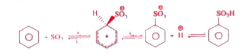 Sulfonation like iodination is reversible and is believed to take place in concentrated sulfuric acid via the following pathway       Find the correct statement(s) for above given reaction