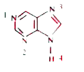 Purine has four nitrogen atoms, which one of them is expected to be basic?