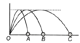 तीन फुटबाल A, B, C को एक साथ समान ऊर्ध्वाधर तल में समान बिन्दु से किक मारी जाती है। चित्र में इनके प्रक्षेप-पथ दर्शाए गए हैं।      तब निम्न में से कौनसा कथन गलत है?  दिया है v(Ay), v(By), v(Cy) क्रमश: A, B तथा C के ऊर्ध्वाधर घटक को प्रदर्शित करते हैं तथा v(Ax), v(Bx), v(Cx) क्षैतिज वेग घटकों को प्रदर्शित करते हैं।