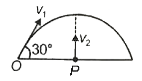 एक कण को क्षैतिज के साथ 30^(@) का कोण बनाते हुये v(1) वेग से बिन्दु O से प्रक्षेपित किया जाता है तथा दूसरे कण को बिन्दु P से जो उच्चतम बिन्दु के ठीक उर्ध्व नीचे है, v(2) वेग से ऊर्ध्व ऊपर की ओर प्रक्षेपित किया जाता है। दोनों कणों की टक्कर के लिये (v(1))/(v(2)) का अनुपात होगा