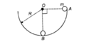 चित्र में दर्शाए अनुसार चिकने अर्ध गोलाकार कटोरे में स्थिति A से एक m द्रव्यमान का एक कण मुक्त किया जाता है। जब यह निम्नतम बिन्दु B पर पहुँच जाता है। तब गुरुत्व द्वारा सम्पन्न कार्य ज्ञात कीजिये।