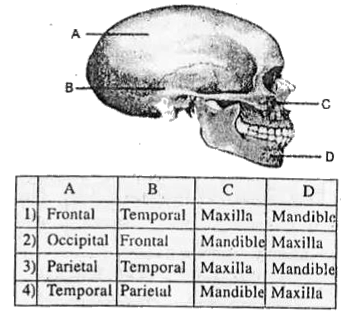 ocr_image