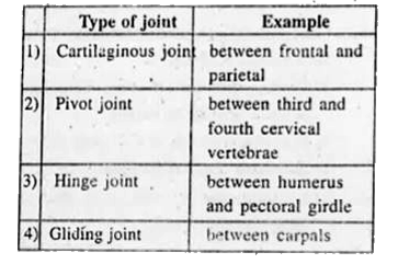 Select the correct matching of the type of the joint with the example in human skeletal system.