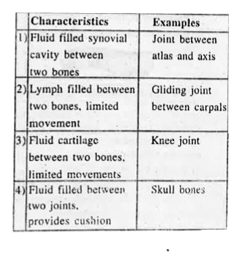 The characteristic and an example of a synovial joint in humans is