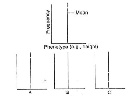 Following is the diagrammatic representation of the operation of natural selection on different traits. Which of the following options correctly identifies all the three graphs A, B and C.