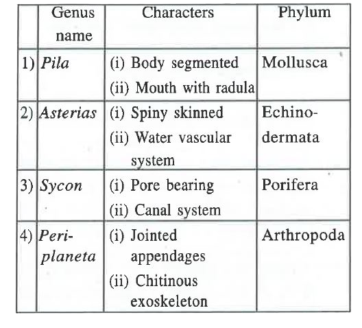 In which one of the following the genus name its two characters and its phylum are not correctly matched ?