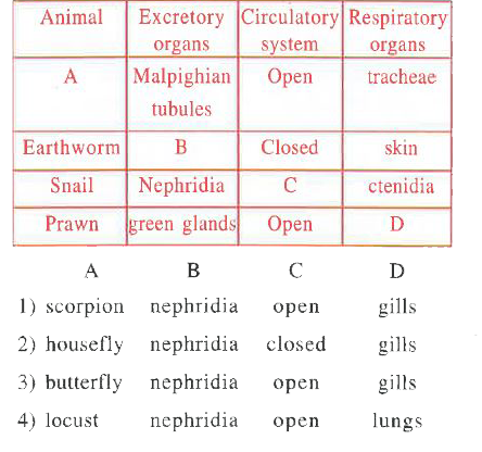 Fill up the blank spaces in the table below by selecting the correct option