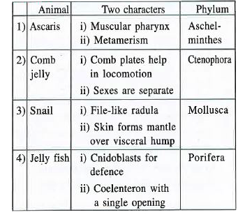In which one of the following  the animal ,its two characters and its class/phylum are correctly matched ?