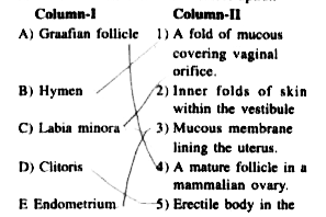 Match the terms column-I with their functions in column-II and select the correct option