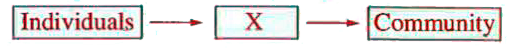 Identify 'X' in the flowchart given below.