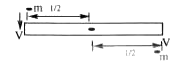 A rigid uniform rod of mass M and length .L. is resting on a smooth horizontal table. Two marbles each of mass.m. and travelling with uniform speed .V collide with two ends of the rod simultaneously and inelastically as shown. The marbles get struck to the rod after the collision and continue to move with the M rod. If m=M/6  and V = L mts/sec, then the time 6 taken by the rod to rotate through pi/2 is: