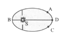 The planet mercury is revolving in an Elliptical orbit around the sun as shown in the figure. The kinetic energy of mercury will be greatest at