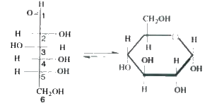 Use the equilibrium for glucose shown below to answer questions       Which chair conformation corresponds to the pyranose shown at the equilibrium