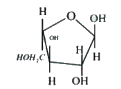 Which set of terms correctly identifies the carbohydrate shown ?      (1) Pentose (2) Hexose (3) Aldose (4) Ketose (5) Pyranose (6) Furanose