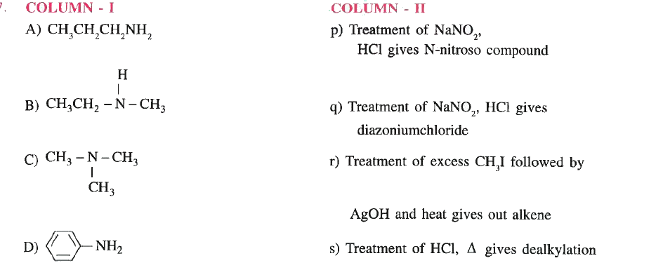 Match the following columns