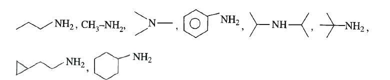 How many of the following amines are prepared by Gabrielpthalamide reaction.