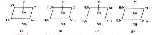 Consider the following arrangements of the octahedral complex ion [Co(NH(3))(4)Cl(2)]^(+)      which of the following statements is incorrect regarding these structure.