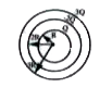 Three concentric conducting spherical shells of radii R, R2 and 3R carry charges Q,-2Q and 3Q, respectively compute the electric field at r = (5)/(2) R