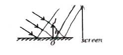 Sun rays are reflected from a horizontal mirror and fall on a vertical screen. A vertical object of height h is placed on the mirror as shown in the figure. Length of the shadow on the screen is