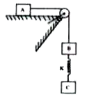 In the system as shown in figure, all surfaces are smooth, strings are light and inextensible, Given mA = 1kg, mB 2kg mC = 3 kg , g = 10ms^(-2) K = 50 Nm^(-1)  The system is released from rest.