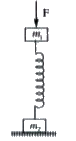 A system consists of two cubes of masses m(1) and m(2) connected by a spring of spring constant k. Force F applied on m-(1) along its weight and removed, such that m(2) is just lifted. Find F?