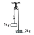 System shown in figure is released from rest. Pulley and spring are massless and friction is absent every where. The speed of 5 kg block when 2 block leaves a contact with ground is [k=40N/m