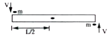 A rigid uniform rod of mass M and length 'L' is resting on a smooth horizontal table. Two marbles each of mass 'm' and travelling with uniform speed 'V' collide with two ends of rod simultaneously and inelastically as shown. The marbles get struck to the rod after the collosion and continue to move with the rod If m=M/6 and V = L mts/sec, then the taken by rod rotate through pi//2 is