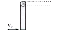 A thin uniform rod of length L = 40 cm and mass m = 16 kg free to rotate in a vertical plane about a smooth pivot through which it is suspended as shown. A dense point body of same mass (m) moving horizontally with a speed V(0) strikes the rod at its lower perfectly inelastically so that system can just reach a horizontal position after the collision. Match Column - I with Column - II. (g=10