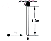 A 2 kg sphere moving horizontally to the right with an initial velocity of 5 m/s strikes the lower end of an 8 kg rigid rod AB. The rod is suspended from a hinge at A and is initially at rest. Knowing that the coefficient o restitution between the rod sphere is 0.80. The velocity of the sphere immediately after the impact is V(s)=(1)/(x)