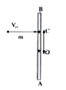 A uniform rod AB of length l and mass m is lying on a smooth table. A small particle of mass m strikes the rod with a velocity V(0) at a distance x from the centre O. The particle comes to rest after collision. The value of x, so that point A of the rod remains stationary just after collision is l/y. The value of y is