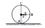 A wheel is rolling on a horizontal plane. At a certain instant it has a velocity 'v' and acceleration 'a' of CM as shown in fig acceleration of