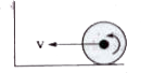 A uniform circular disc of mass m and radius R is rolling without slipping on a smooth horizontal surface as shown in figure. The disc collides with a rough vertical wall having coefficient of restitution 0.6. If the disc rolls without slipping after collision with the wall, and the coefficient of friction is n/10, then find n.