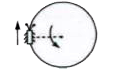 A thin disc of radius R and mass M is free to rotate about a vertical axis passing through its centre and perpendicular to its plane. The disc in initially at rest. A small of mass M/3 is walking along the rim of the disc with a relative speed 'v' with respect to the surface of the disc. What is the angular velocity with which the disc rotates in the opposite direction ?