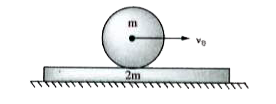 A thin but large plank of mass 2m is placed on a horizontal smooth surface. A solid cylinder of mass m and radius r is given only translation velocity V(0) and gently placed on the plank as shown in the figure. The coefficient of kinetic friction between the plank and the cylinder is mu. Match List - I with List - II and selected the correct answer using the codes given below the lists :      {:(