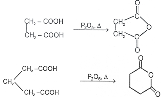 ocr_image