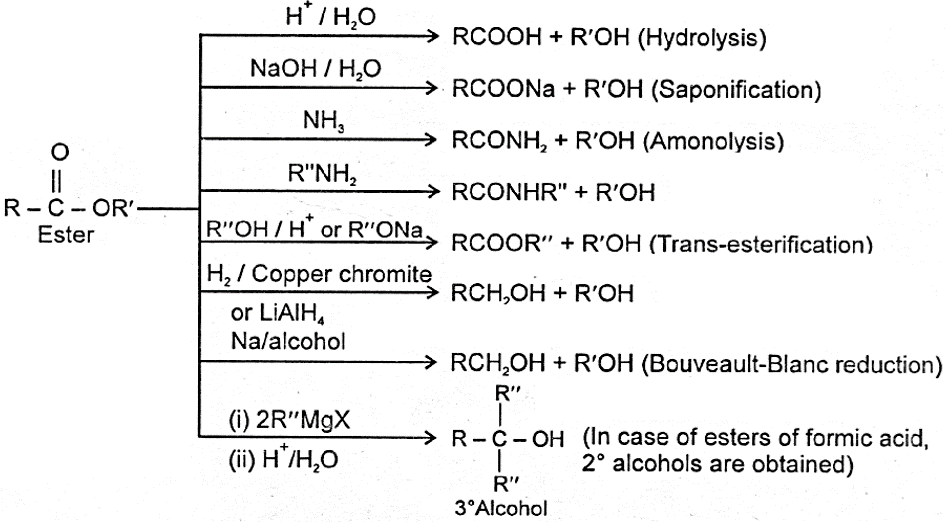 ocr_image