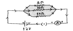 (a) घरेलु विद्युत परिपथों में श्रेणीक्रम संयोजन का उपयोग क्यों नहीं किया जाता है ?    (b) निम्न चित्र में दर्शाये गए परिपथ के आधार पर निम्नलिखित को परिकलित कीजिये :        (i) प्रत्येक प्रतिरोधक में प्रवाहित धारा का मान   (ii) परिपथ में प्रवाहित कुल धारा का मान (iii) परिपथ का कुल प्रभावी प्रतिरोध  |