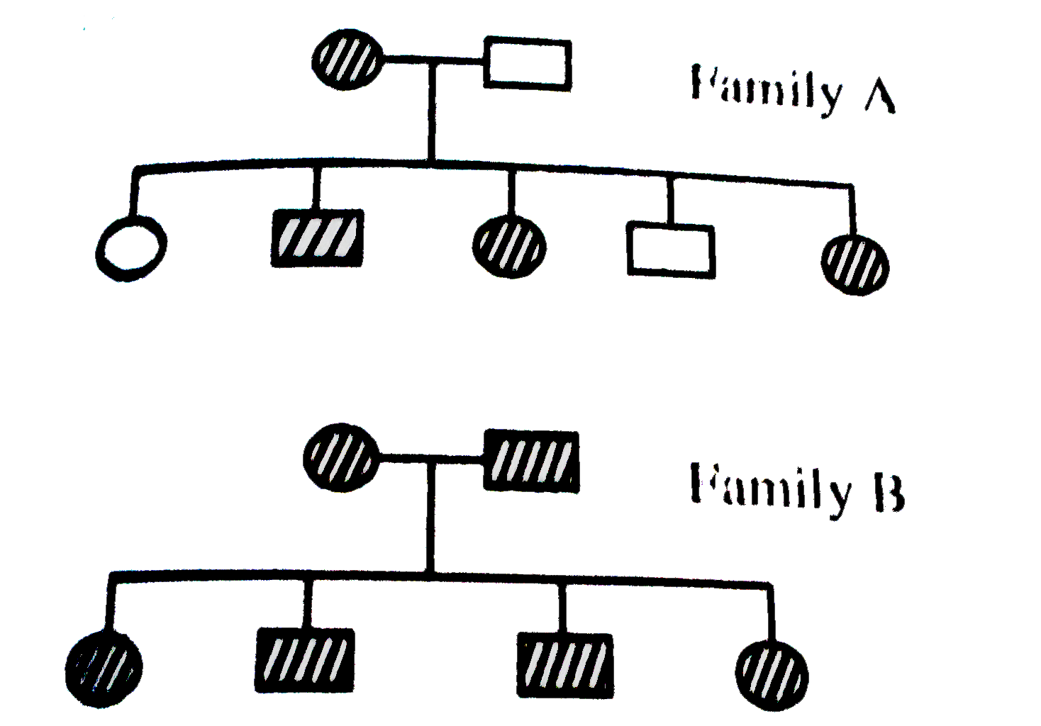 In given pedigree there is a inheritance of certain character of two familes, twhich of the following option is correct for the inheritance of that character ?