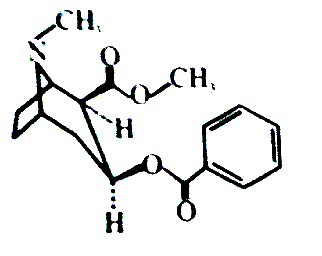 Diagram is showing chemical structure of Morphine, which is a natural opiate like codeine. Morphine is a strong analgesic, also has sedative & calming effect. It depresses respiratory centre, BP, heart beat. Constipation is a prominant feature of morphine action. How many ester linkages are present in a morphine moleucle ?
