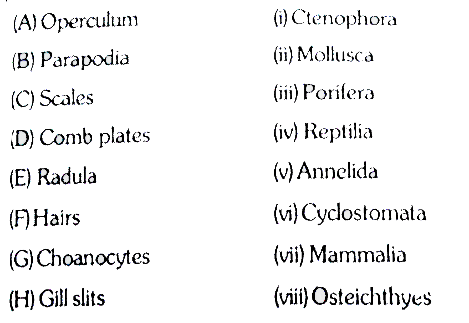 Match the column