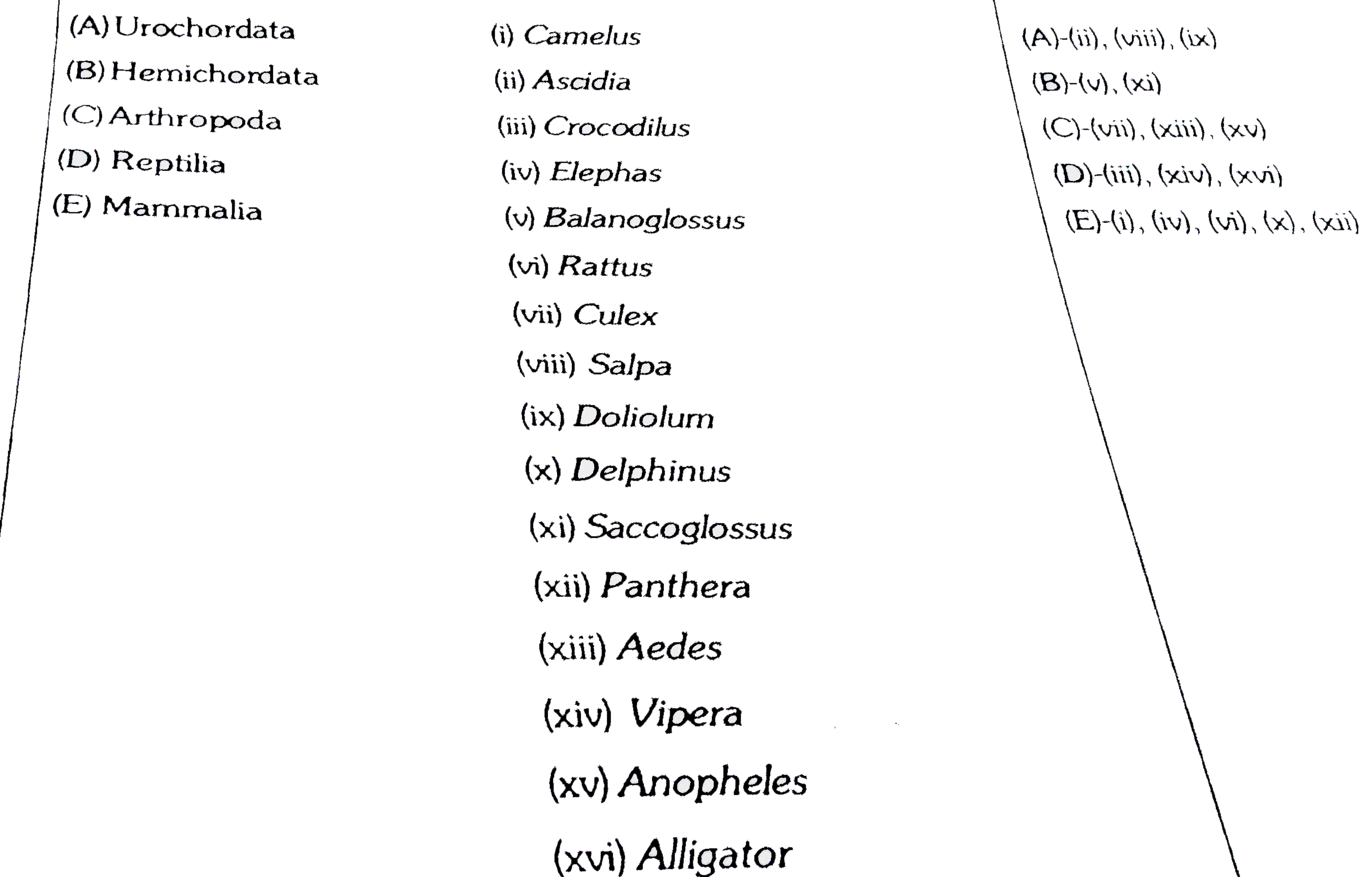 Match the columns :-