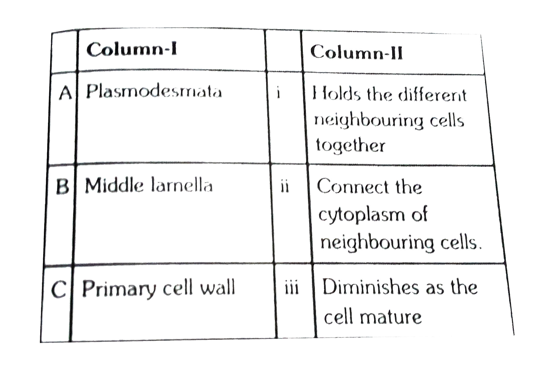 Match the following columns