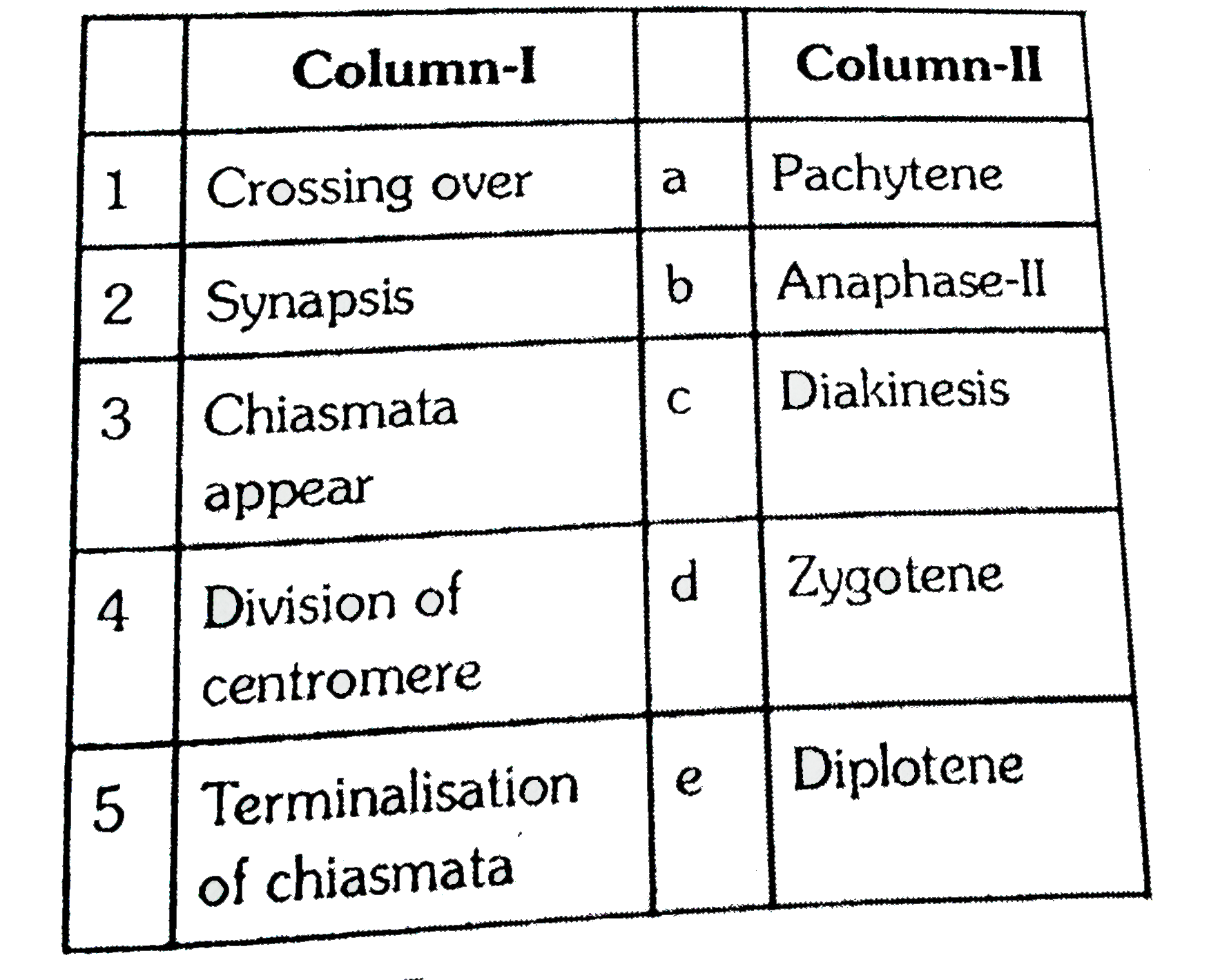 Match the following columns