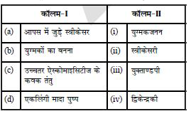 कॉलम-I को कॉलम-II से सुमेलित कीजिये तथा नीचे दिये गये कूट का प्रयोग कर सही विकल्प को चुनिये -