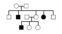 नीचे दी गई वंशावली किसी परिवार में उपस्थित Sickle cell anaemia रोग की है -       इसमें दोनों पैतृकों में RBC होगी?