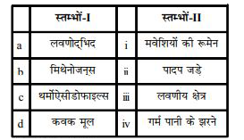 निम्न स्तम्भों का मिलान कीजिये :