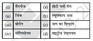 सही मिलान पेहचानीय