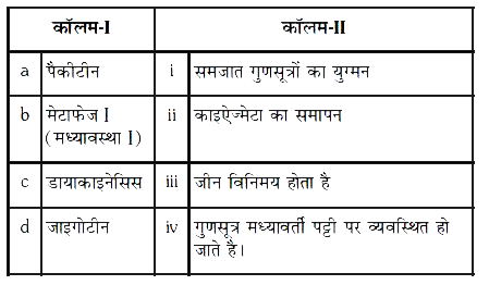 कॉलम-I में दी गयी अर्धसूत्री विभजन की विभिन्न अवस्थाओं का कॉलम-II में दिए गए उनके विशिष्ट लक्षणों के साथ मिलान कीजिए तथा नीचे दिए गए कूट का प्रयोग कर सही विकल्प को चुनिए :